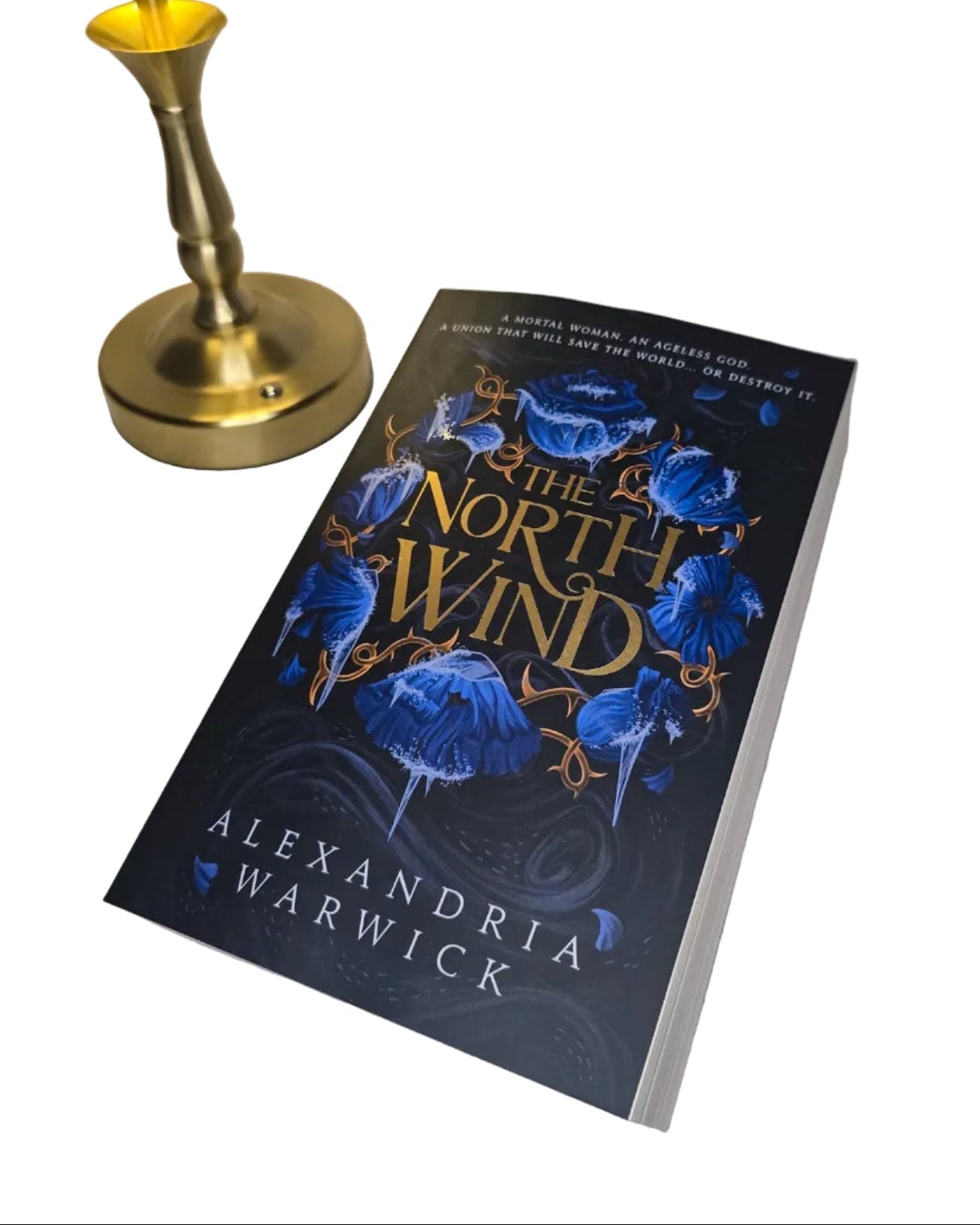 The North Wind by Alexandria Warwick