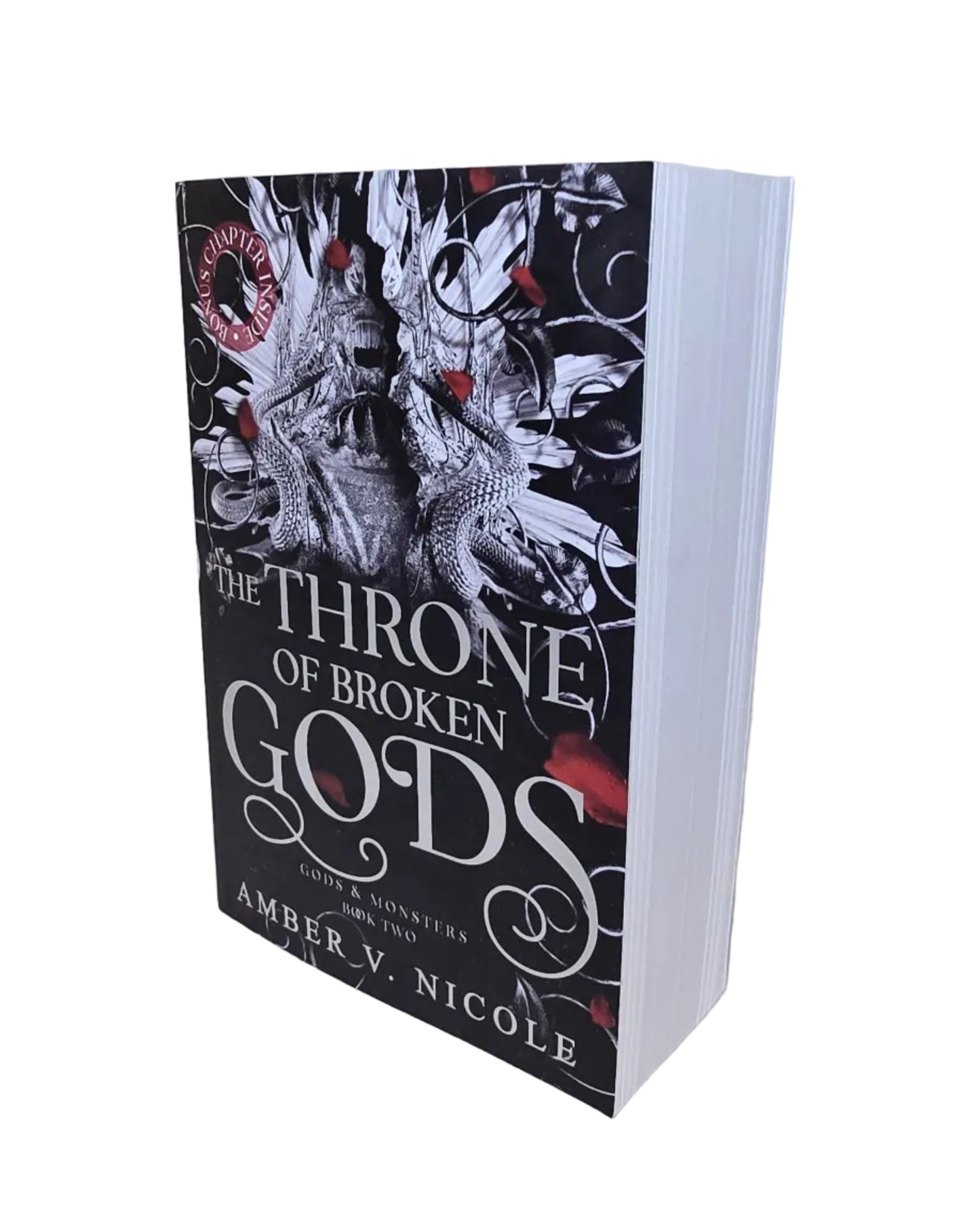 Throne Of Broken Gods by Amber V. Nicole