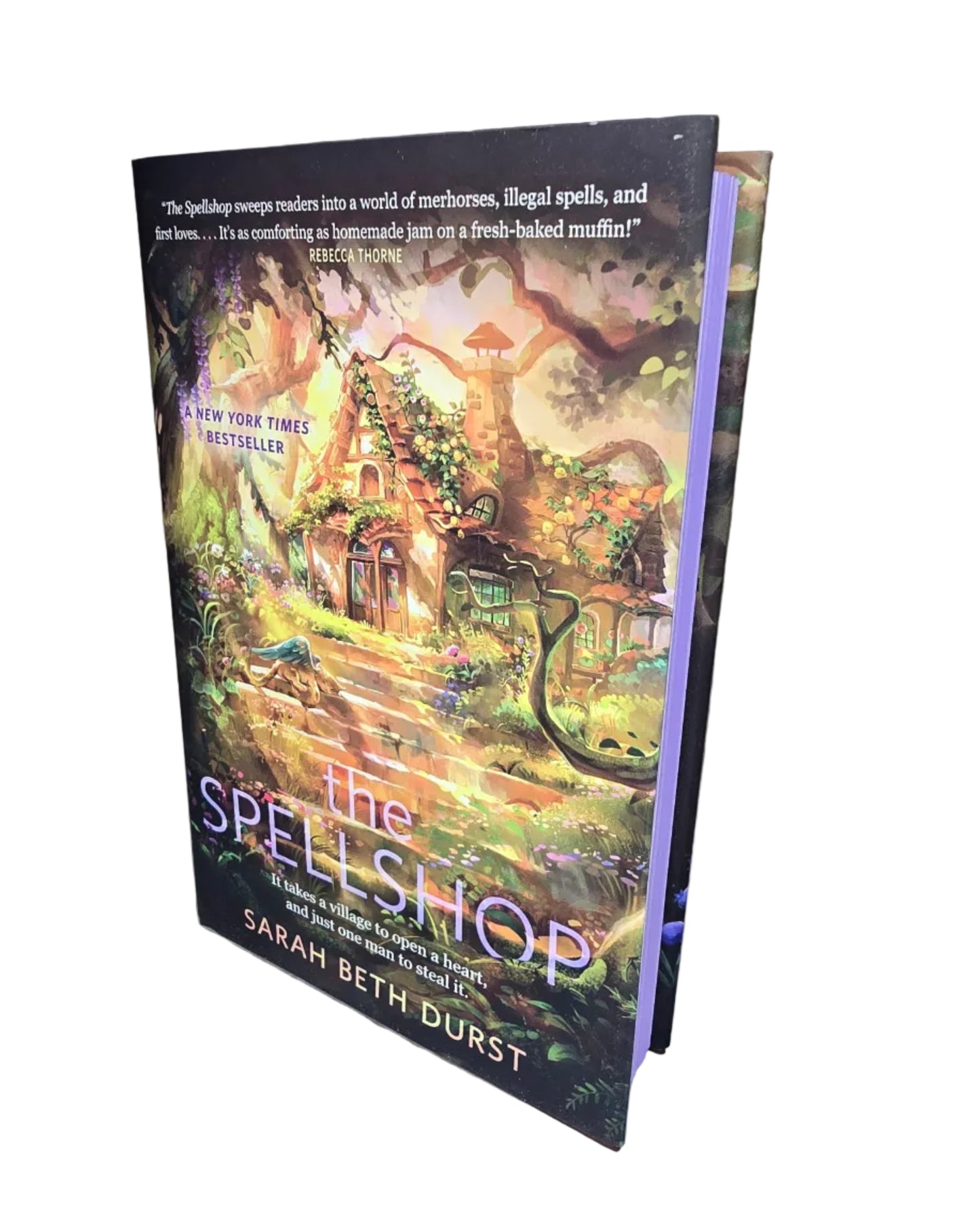 The Spellshop by Sarah Beth Durst - U.S. Deluxe Edition