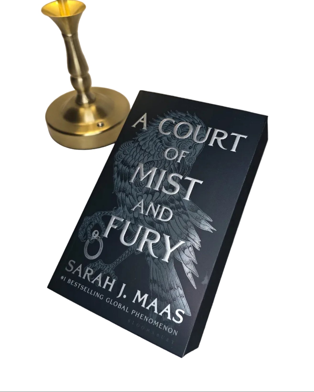 A Court Of Mist And Fury by Sarah J. Maas - Night Court Edition