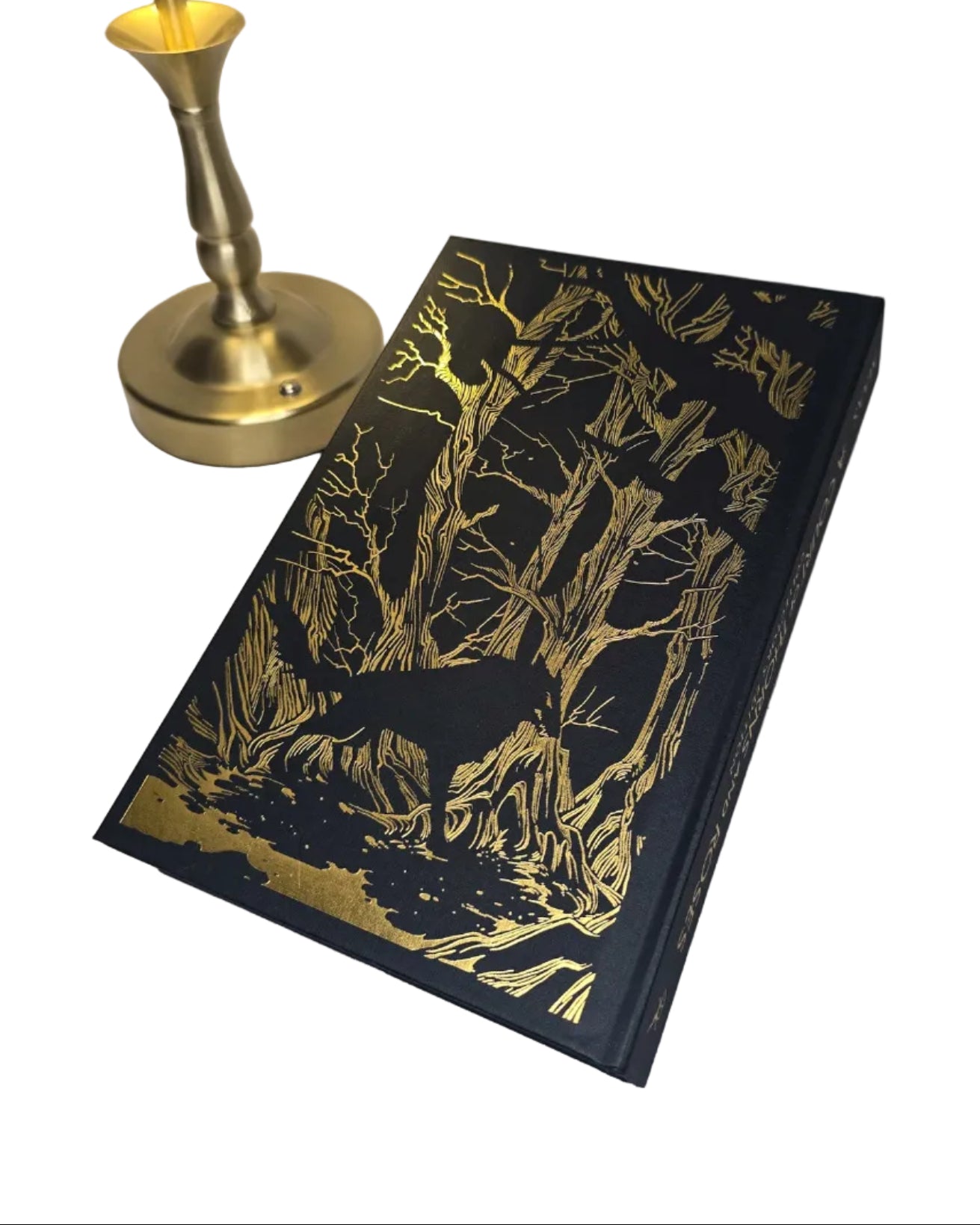 A Court Of Thorns And Roses by Sarah J. Maas - Collector's Edition
