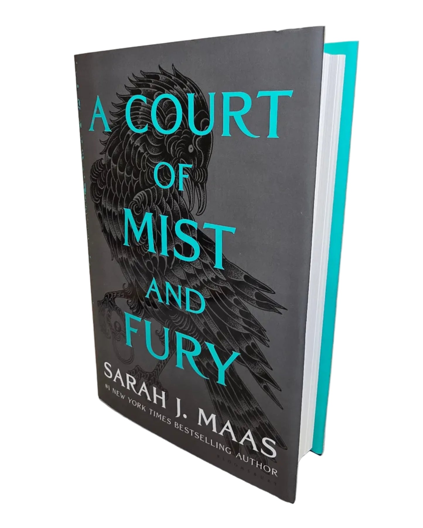 A Court Of Mist And Fury by Sarah J. Maas