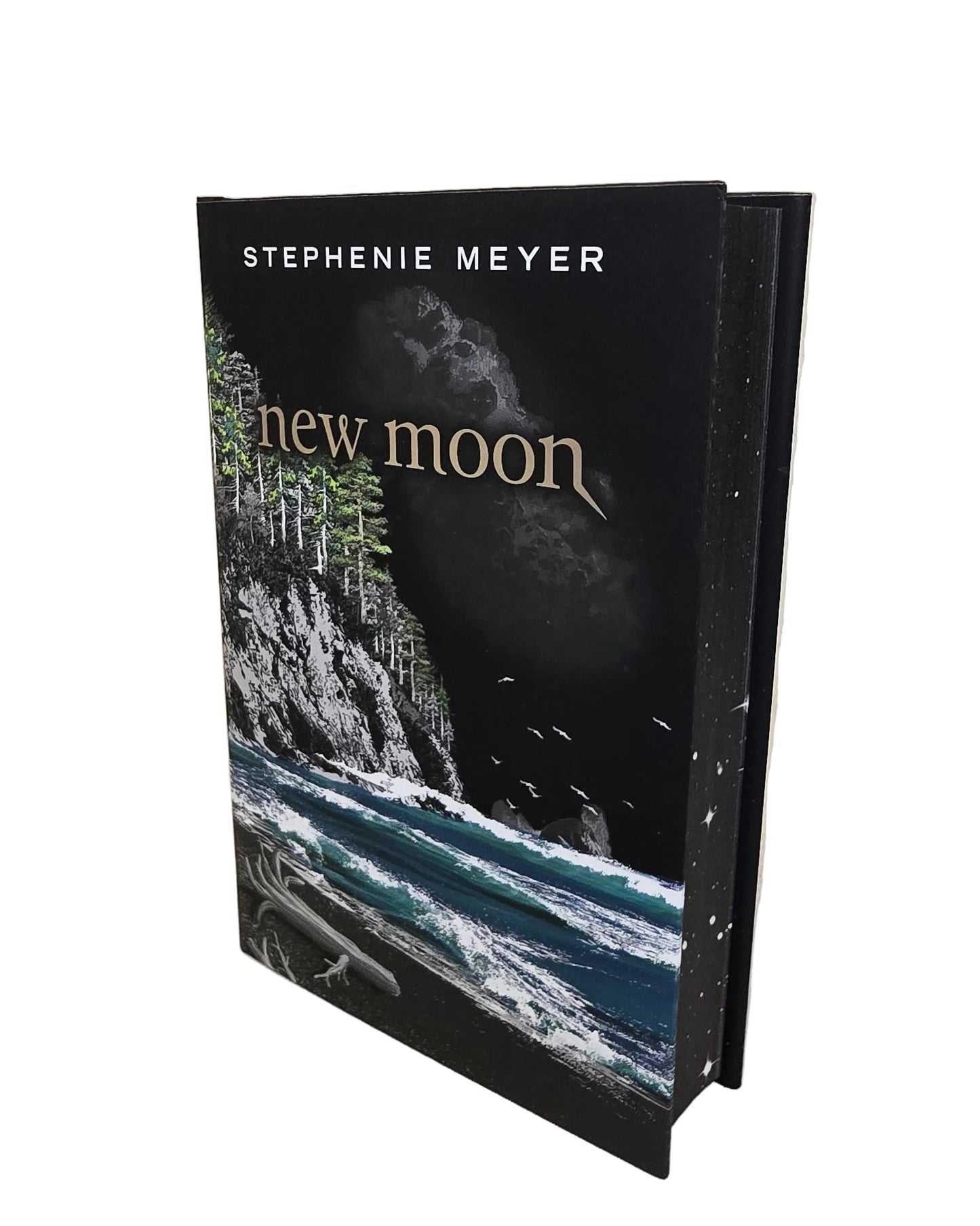 The Twilight Saga by Stephanie Meyer - Deluxe Hardcover Box Set