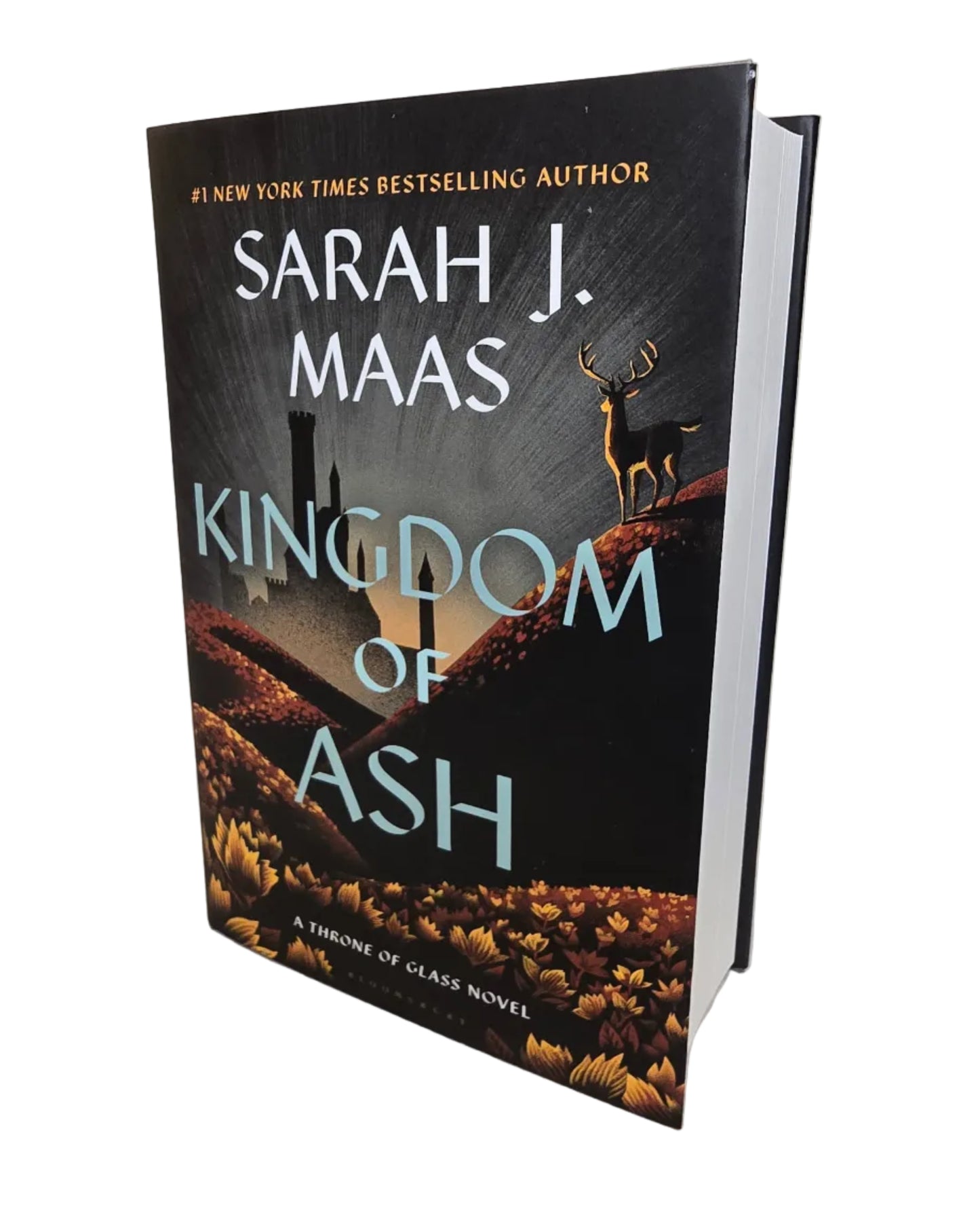 Throne Of Glass by Sarah J. Maas - Box set