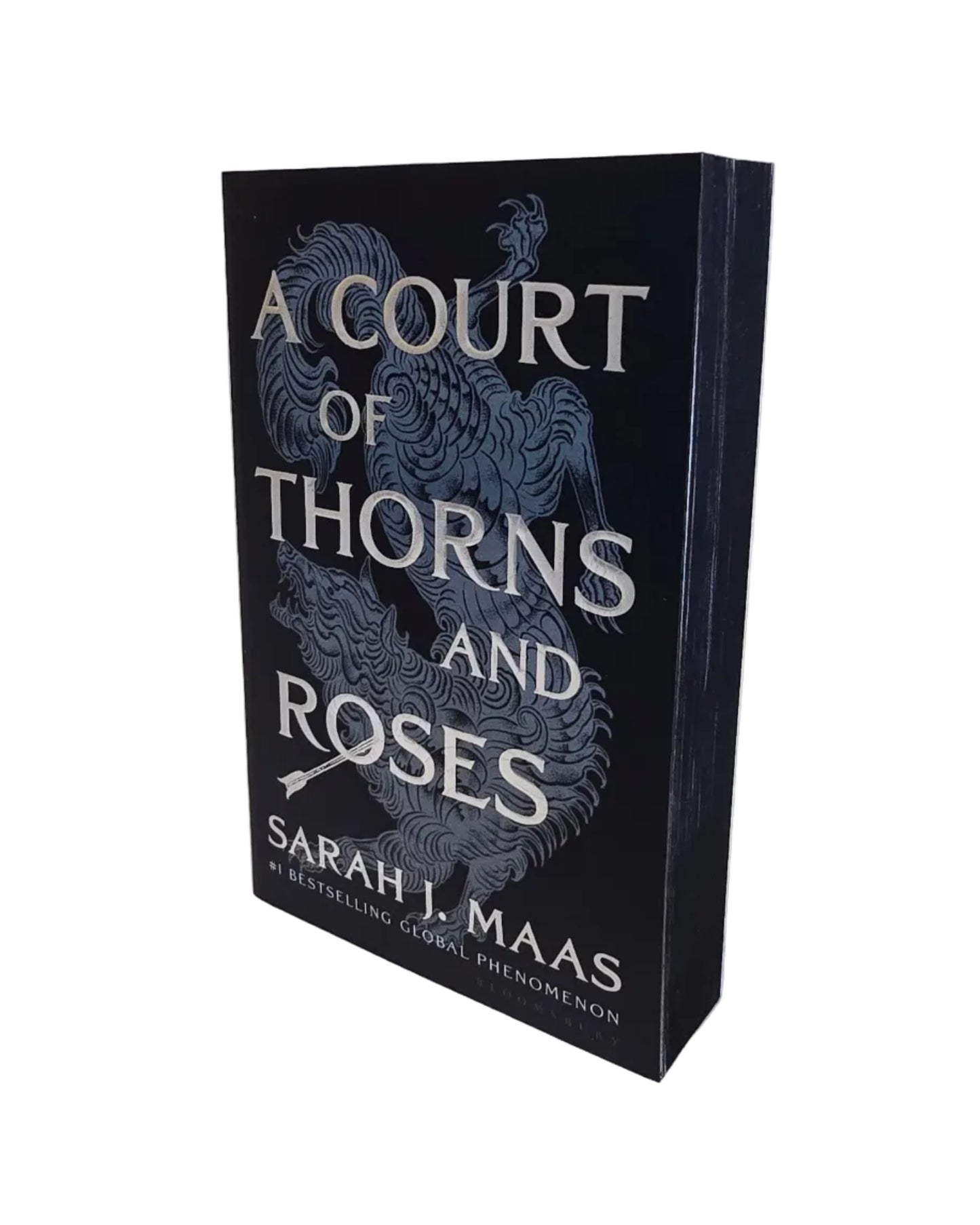 A Court Of Thorns And Roses by Sarah J. Maas - Night Court Edition