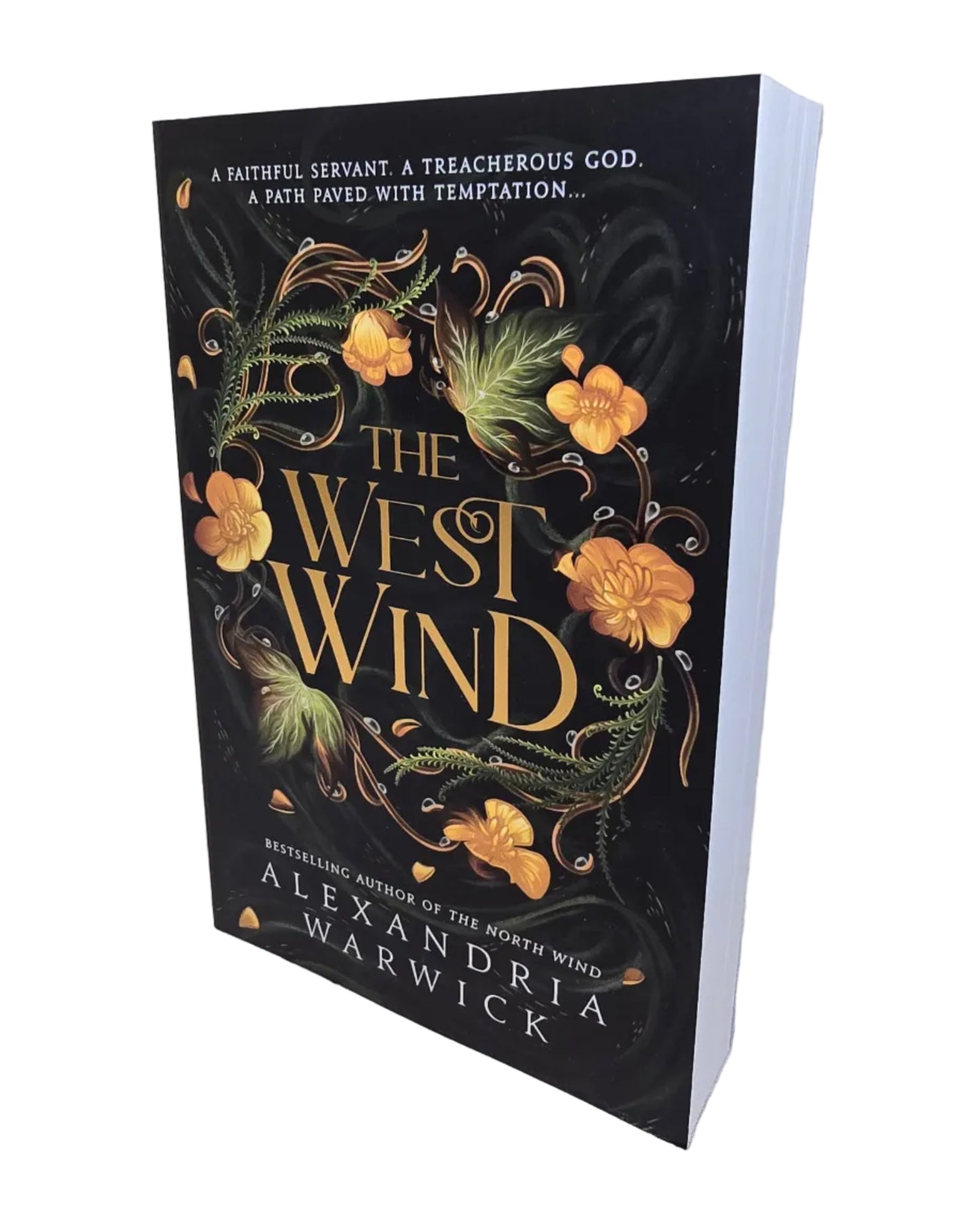 The West Wind by Alexandria Warwick