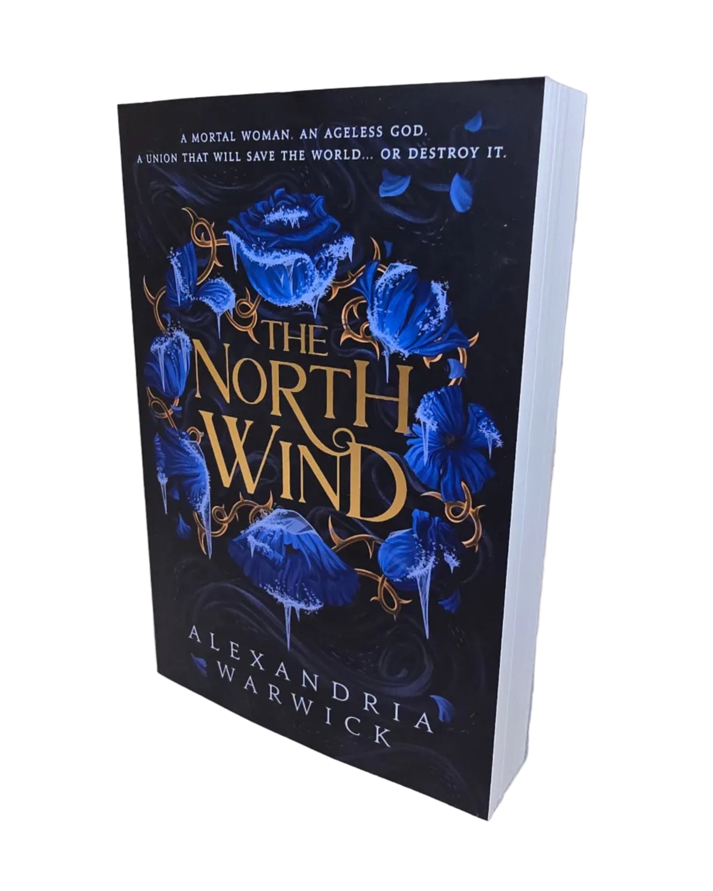 The North Wind by Alexandria Warwick